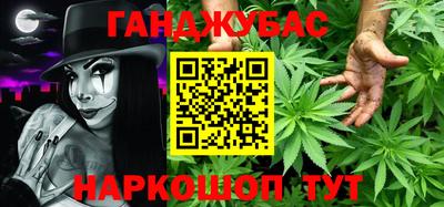 амф Кингисепп