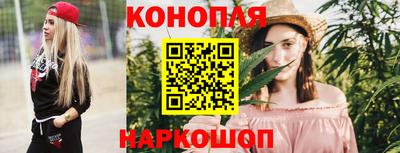 амф Кингисепп