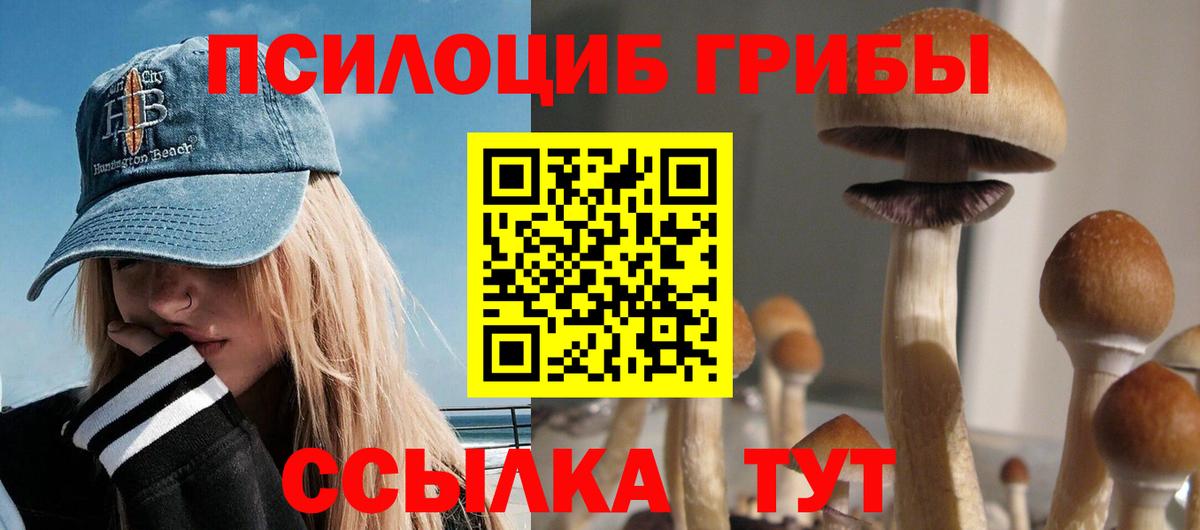 Галлюциногенные грибы GOLDEN TEACHER Котельники